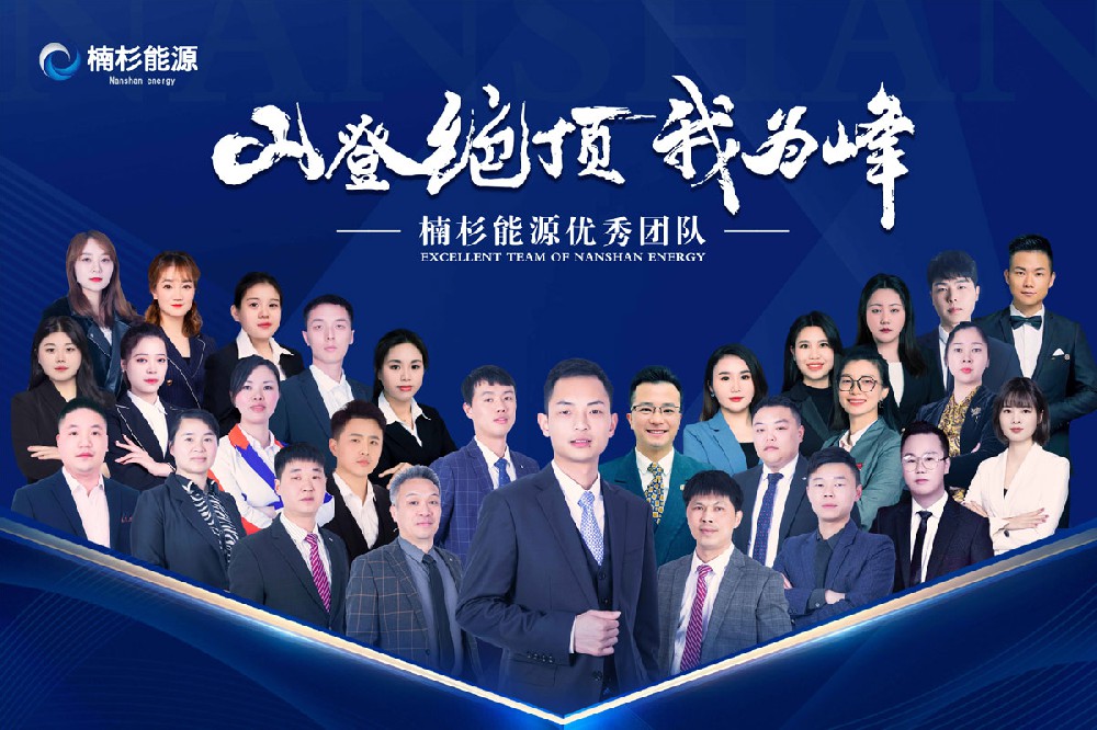 楠杉能源—優(yōu)秀團(tuán)隊(duì)